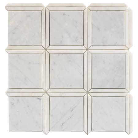 Apollo Tile Antique Square 5 sq.ft 12 in. x12 in. Marble Mosaic Tile, 5PK APLDC99S01EC15